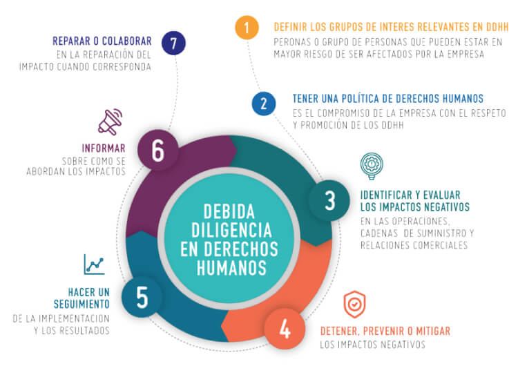 Infografía Debida diligencia en derechos humanos